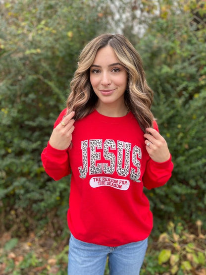 Jesus Is The Reason Sweatshirt